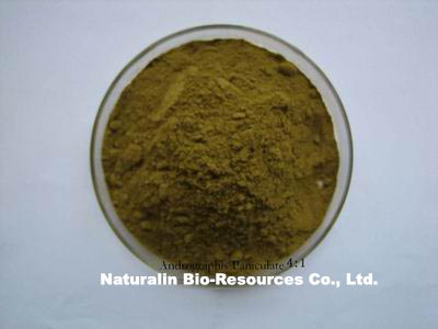 Sell Andrographolide 